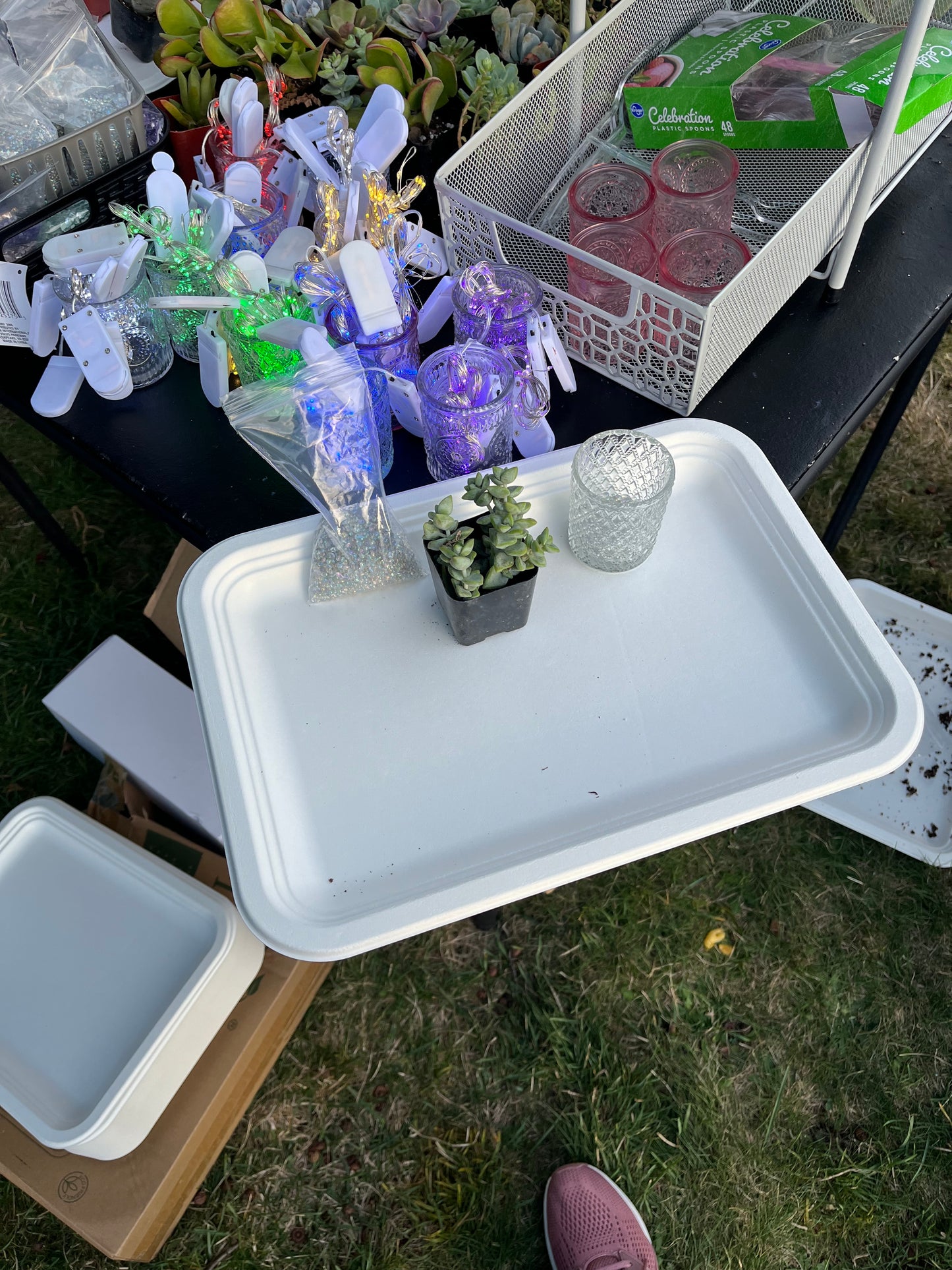 Seattle Area Private Micro Fairy Garden Class Inquiry only