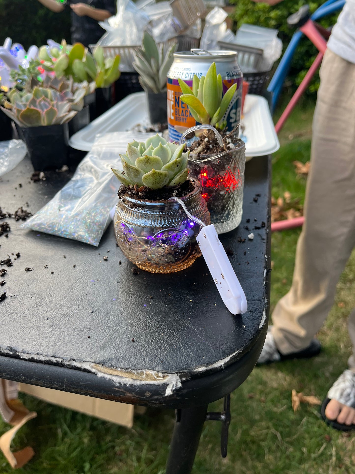 Seattle Area Private Micro Fairy Garden Class Inquiry only