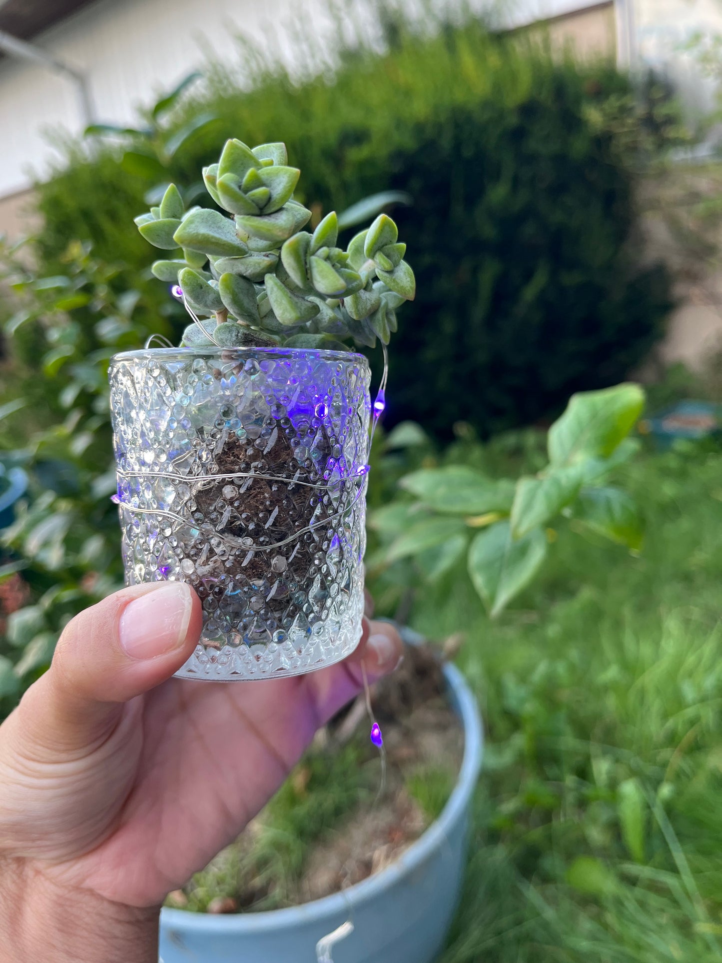 Seattle Area Private Micro Fairy Garden Class Inquiry only