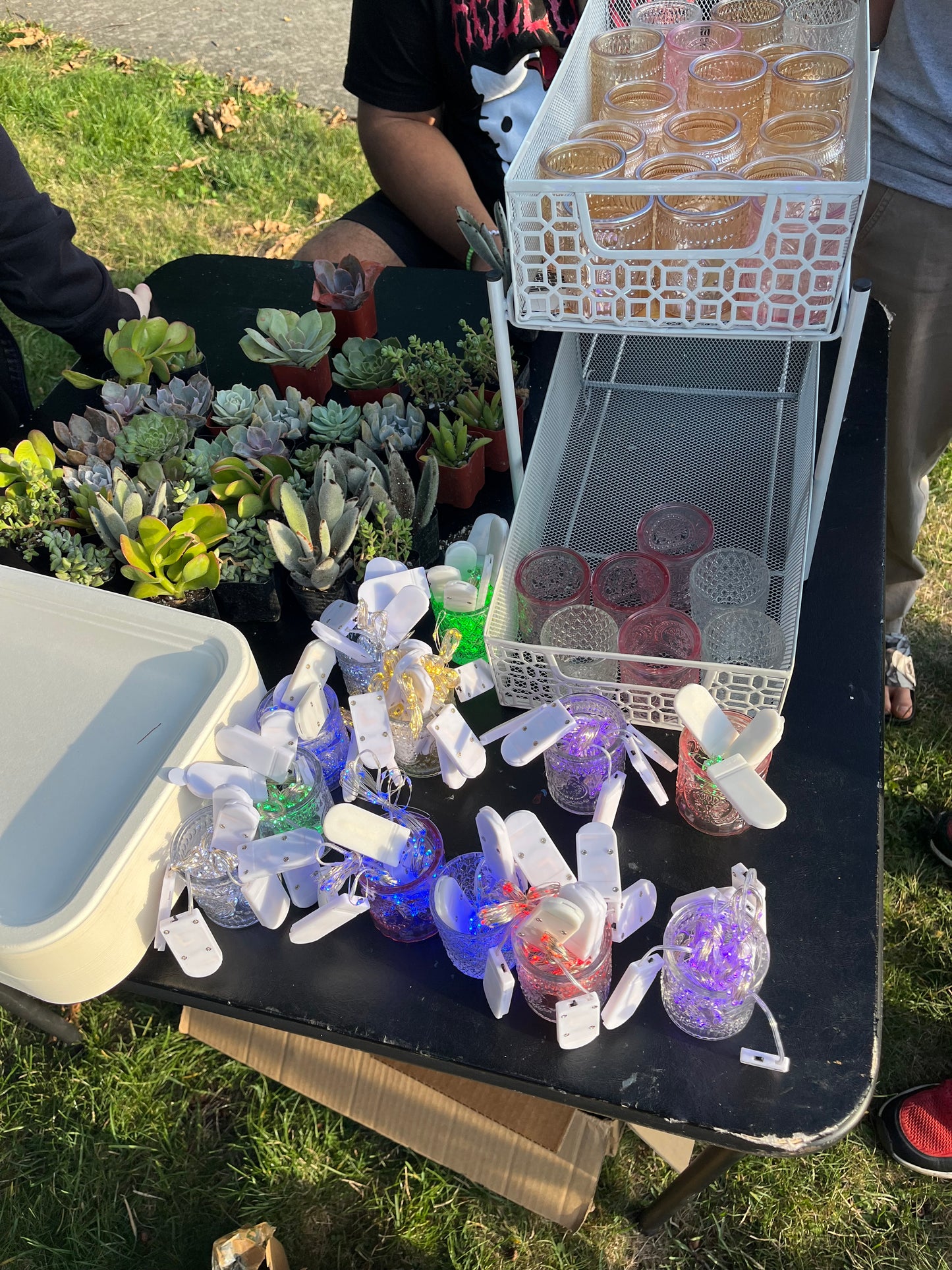 Seattle Area Private Micro Fairy Garden Class Inquiry only