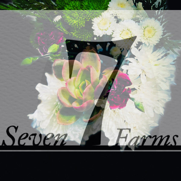 Seven 7 Farms