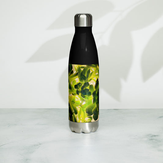 Stainless steel water bottle